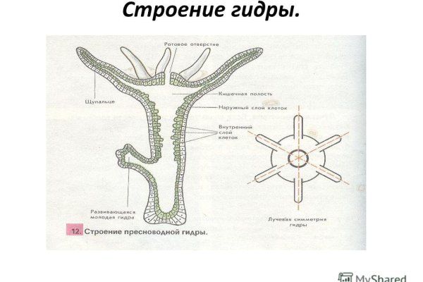 Vk8 at кракен