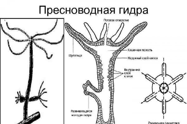 Kraken зеркало krakentor site