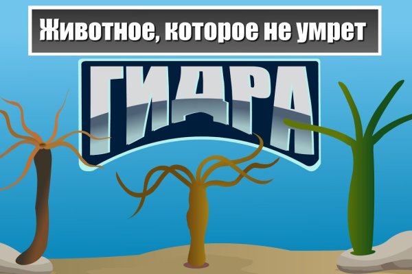 Ссылка на кракен тор kraken clear com