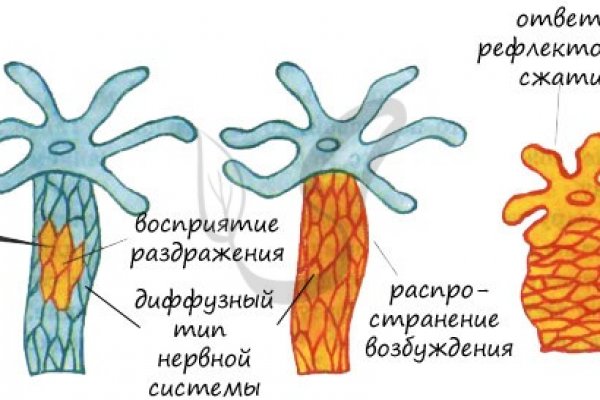 Кракен даркнет kraken clear com